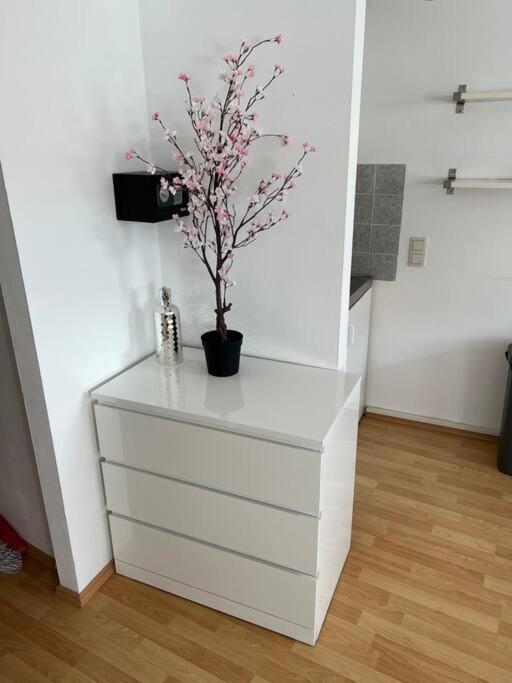 Kleines Apartment Im Zentrum Von Wuerzburg Exteriör bild